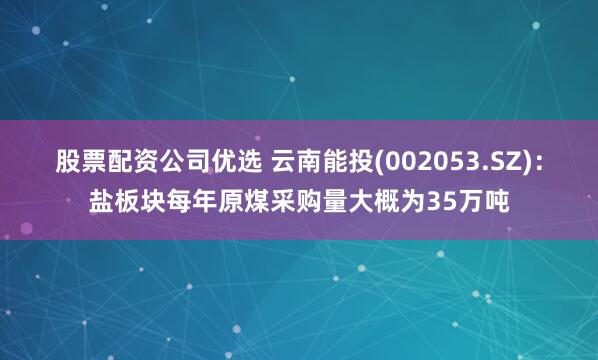 股票配资公司优选 云南能投(002053.SZ)：盐板块每年原煤采购量大概为35万吨