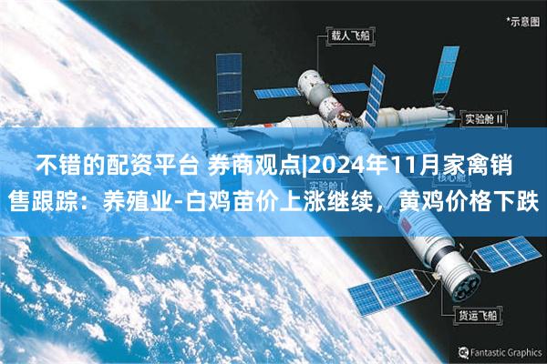 不错的配资平台 券商观点|2024年11月家禽销售跟踪：养殖业-白鸡苗价上涨继续，黄鸡价格下跌