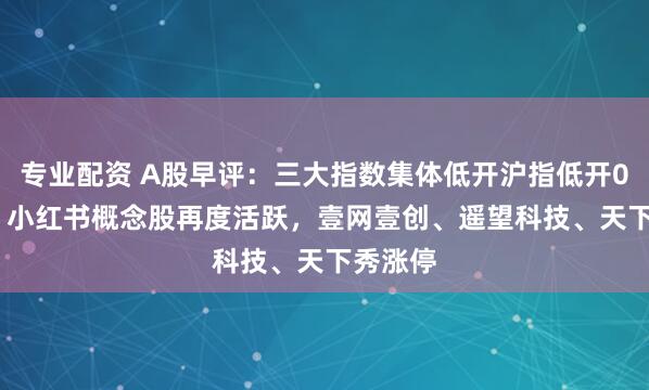 专业配资 A股早评：三大指数集体低开沪指低开0.19%，小红书概念股再度活跃，壹网壹创、遥望科技、天下秀涨停