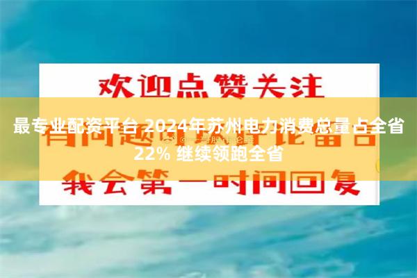 最专业配资平台 2024年苏州电力消费总量占全省22% 继续领跑全省