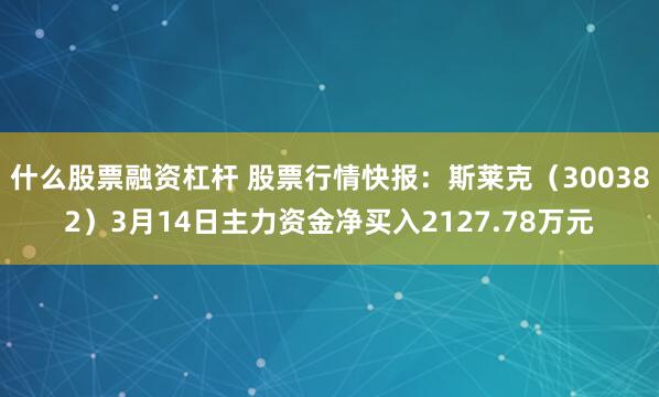 什么股票融资杠杆 股票行情快报：斯莱克（300382）3月14日主力资金净买入2127.78万元