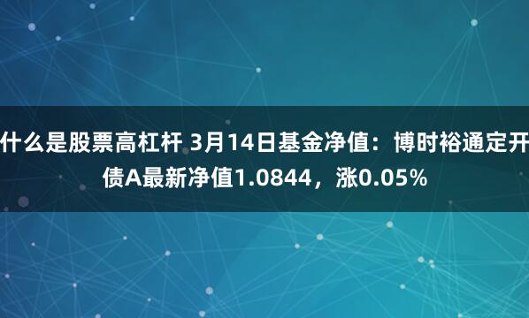 什么是股票高杠杆 3月14日基金净值：博时裕通定开债A最新净值1.0844，涨0.05%