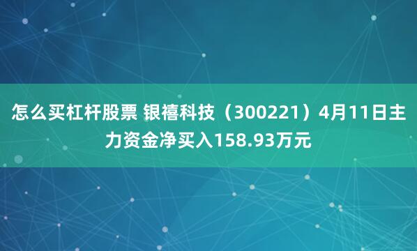怎么买杠杆股票 银禧科技（300221）4月11日主力资金净买入158.93万元